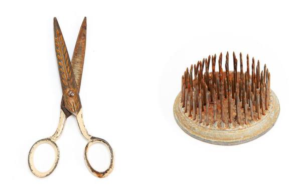 Photograph Ann Cutting Scissors And Frog on One Eyeland